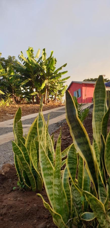 Au Coeur Des Plantations Guest House La Possession Exterior photo