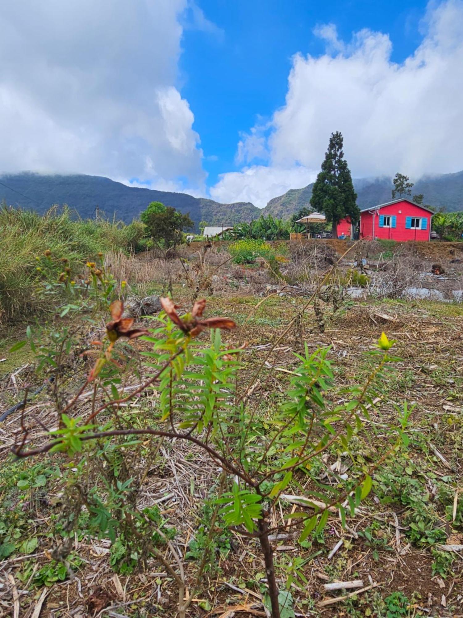 Au Coeur Des Plantations Guest House La Possession Exterior photo